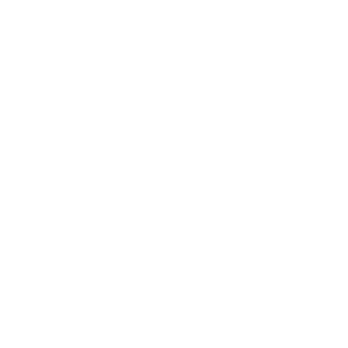audit