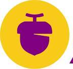 purple acorn network logo