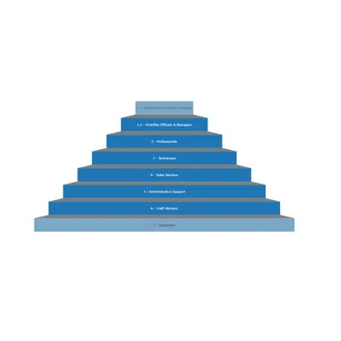 Distribution by Job Pattern (1)