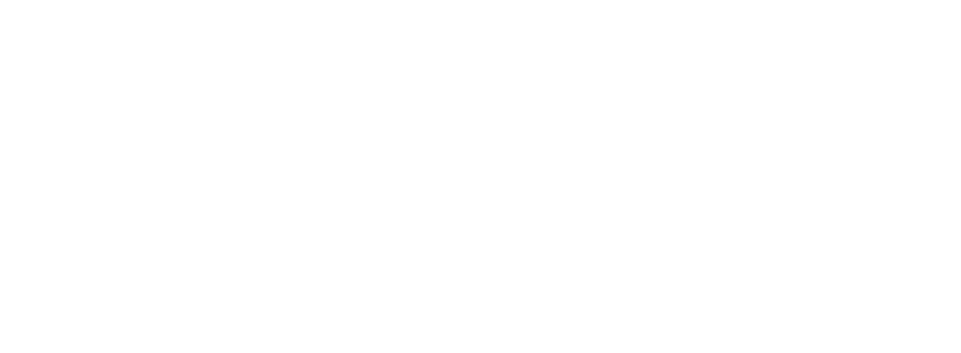 Puerto Rico Icon