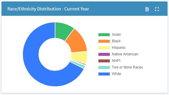 Race_ethnicity  chart