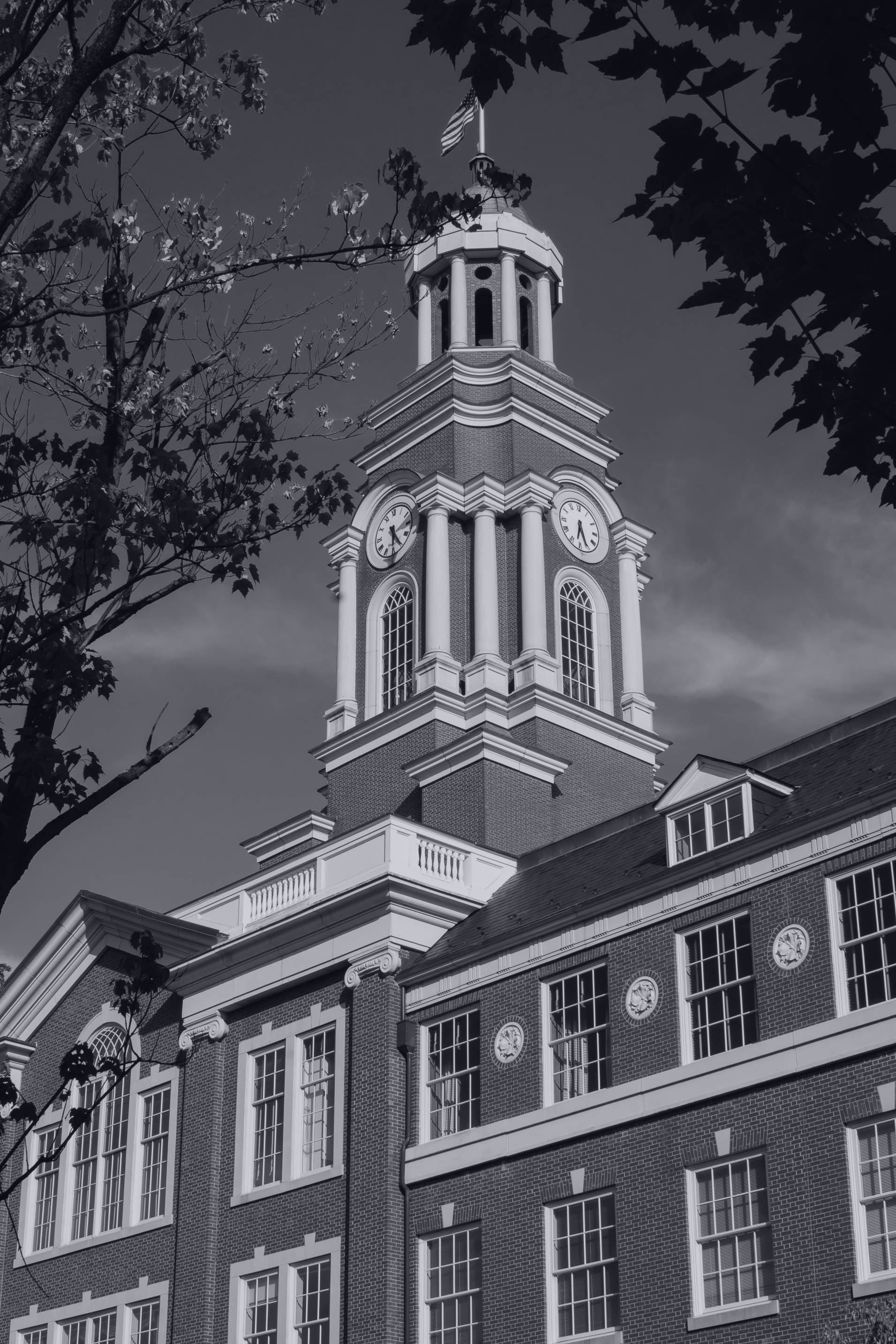 University-01
